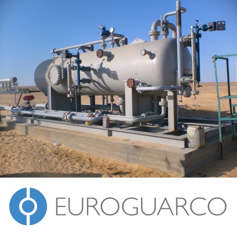 Euroguarco Process Skid Packages